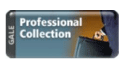 Gale Professional Collection button